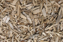 biomass boilers Low Fold